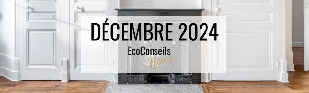 Banière Newsletter EcoConseil (630 × 190 px)